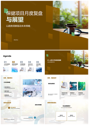 保健项目月度复盘展望趋势策略计划PPT模板