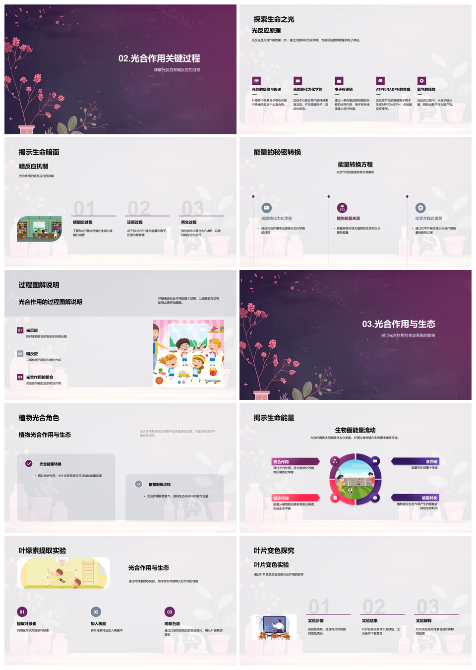 初中生物光合作用教学改革光暗反应能量转换PPT模板