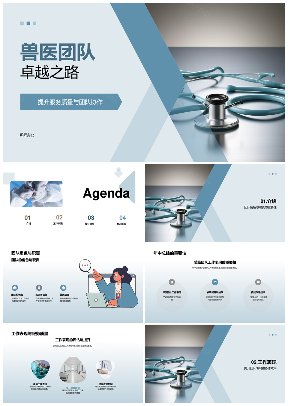 兽医师团队年中评估职责优化与服务提升PPT模板