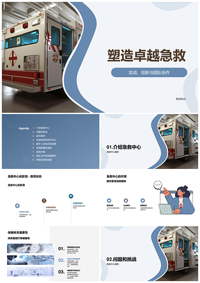 急救中心服务效能与医疗保健体系职责挑战PPT模板