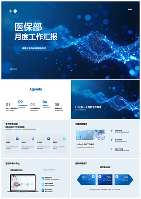 2025医保部月度成果案例策略问题解决计划PPT模板