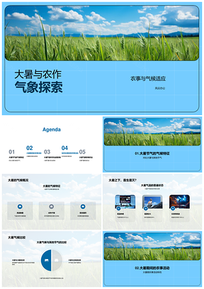 大暑高温农作气象与农事适应PPT模板
