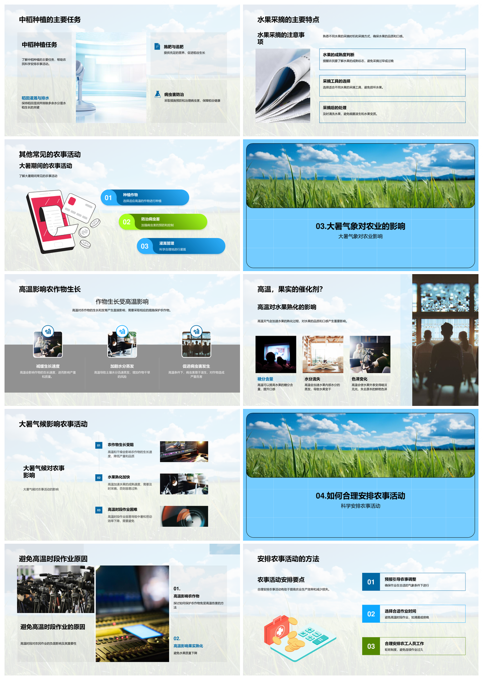 大暑高温农作气象与农事适应PPT模板