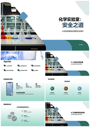 2025化学实验室主任安全操作指南设施装备危险品规程PPT模板
