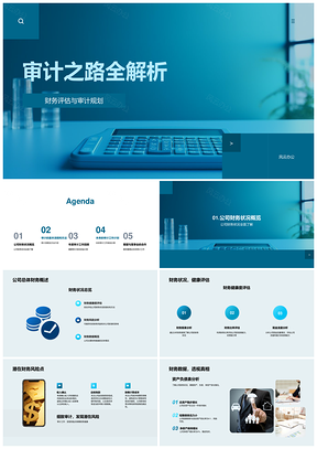 审计流程方法工具项目规划财务风险评估PPT模板