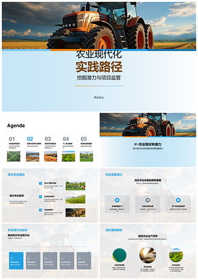 农业现代化项目监管评估与资源配置路径PPT模板