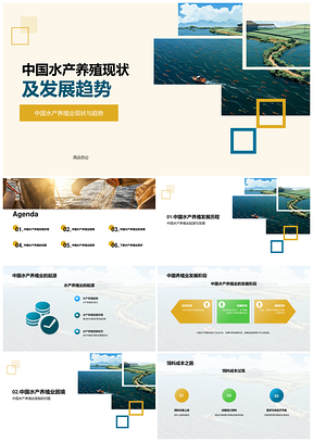 中国水产养殖发展历程现状趋势PPT模板