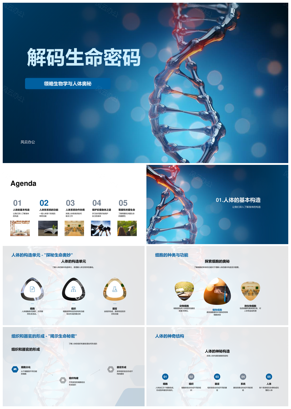 解码生命密码生物学人体细胞器官系统DNA双螺旋奥秘PPT模板
