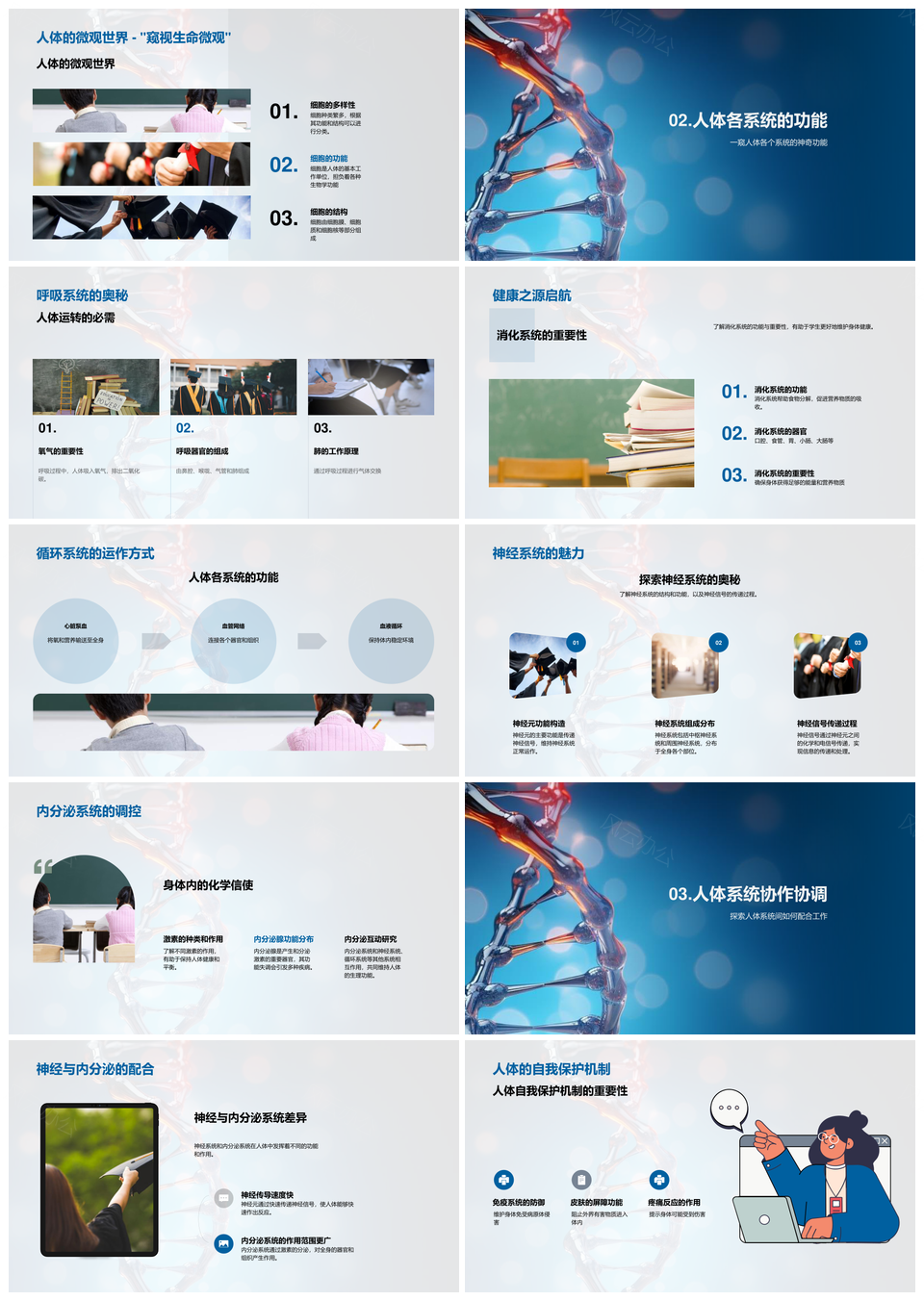 解码生命密码生物学人体细胞器官系统DNA双螺旋奥秘PPT模板