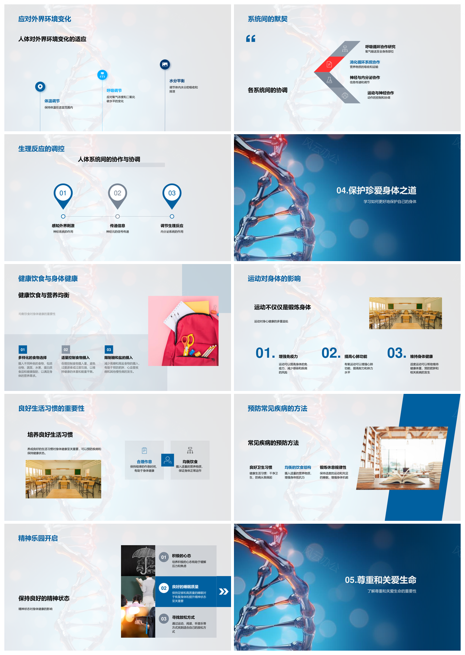 解码生命密码生物学人体细胞器官系统DNA双螺旋奥秘PPT模板