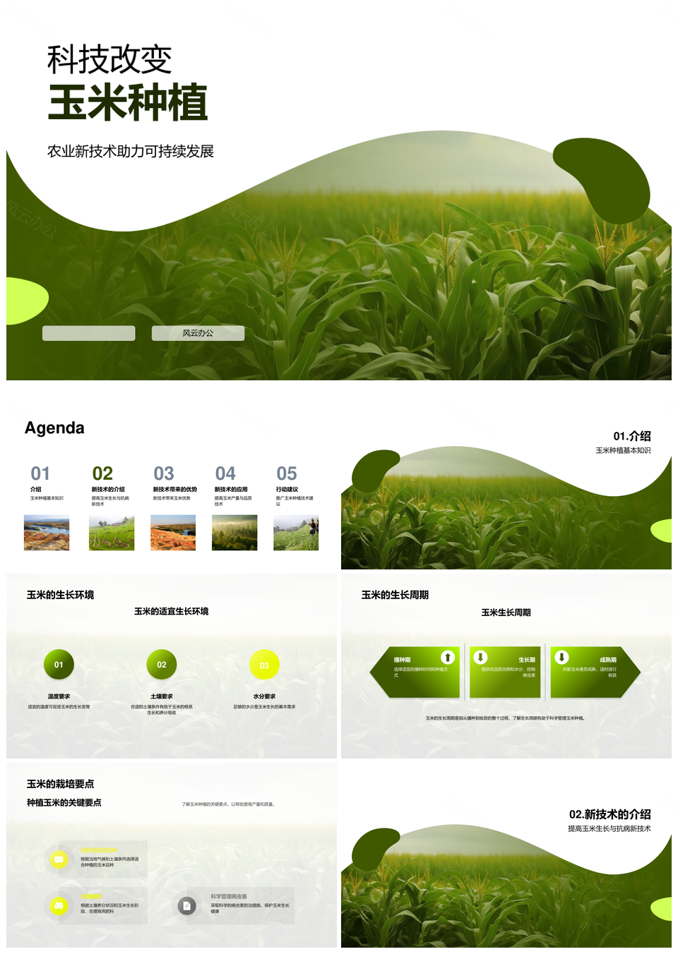 农业科技创新提升玉米种植技术应用PPT模板