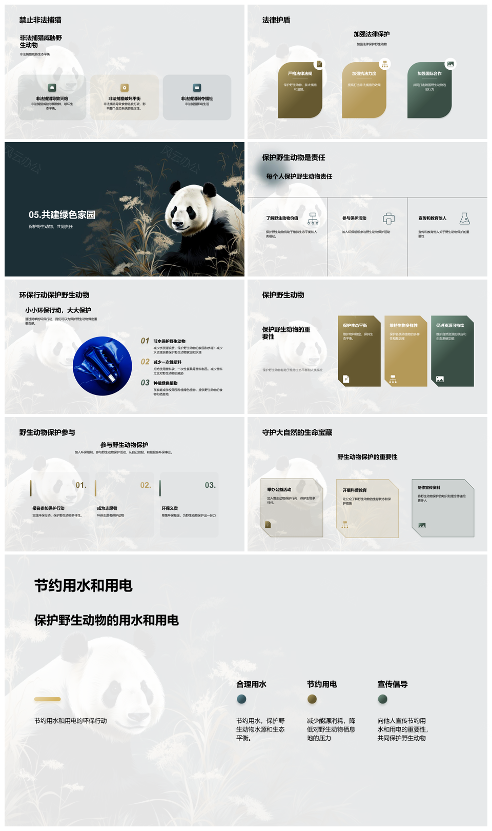 保护大象熊猫虎栖息地禁猎维生态平衡PPT模板