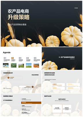 农产品电商营销优化与品牌建设策略PPT模板