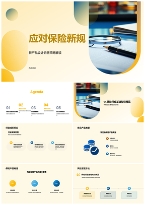 保险新规下产品设计与销售策略PPT模板