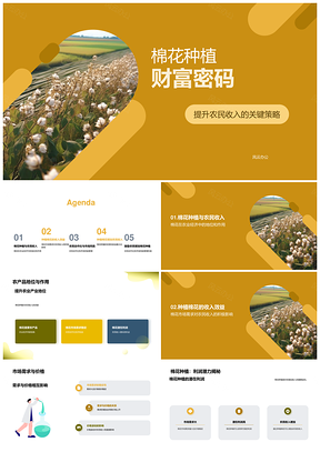 棉花种植合作社供需价格利润助农增收PPT模板