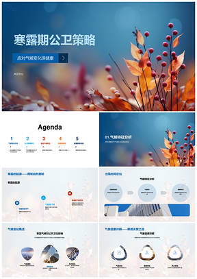 寒露公共卫生气候健康管理流感防护群体PPT模板