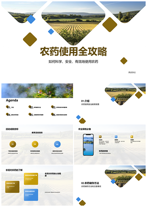农田农药安全使用储存专家指南PPT模板