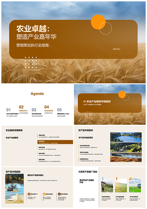 农业卓越链动产业嘉年华营销策划执行麦田PPT模板