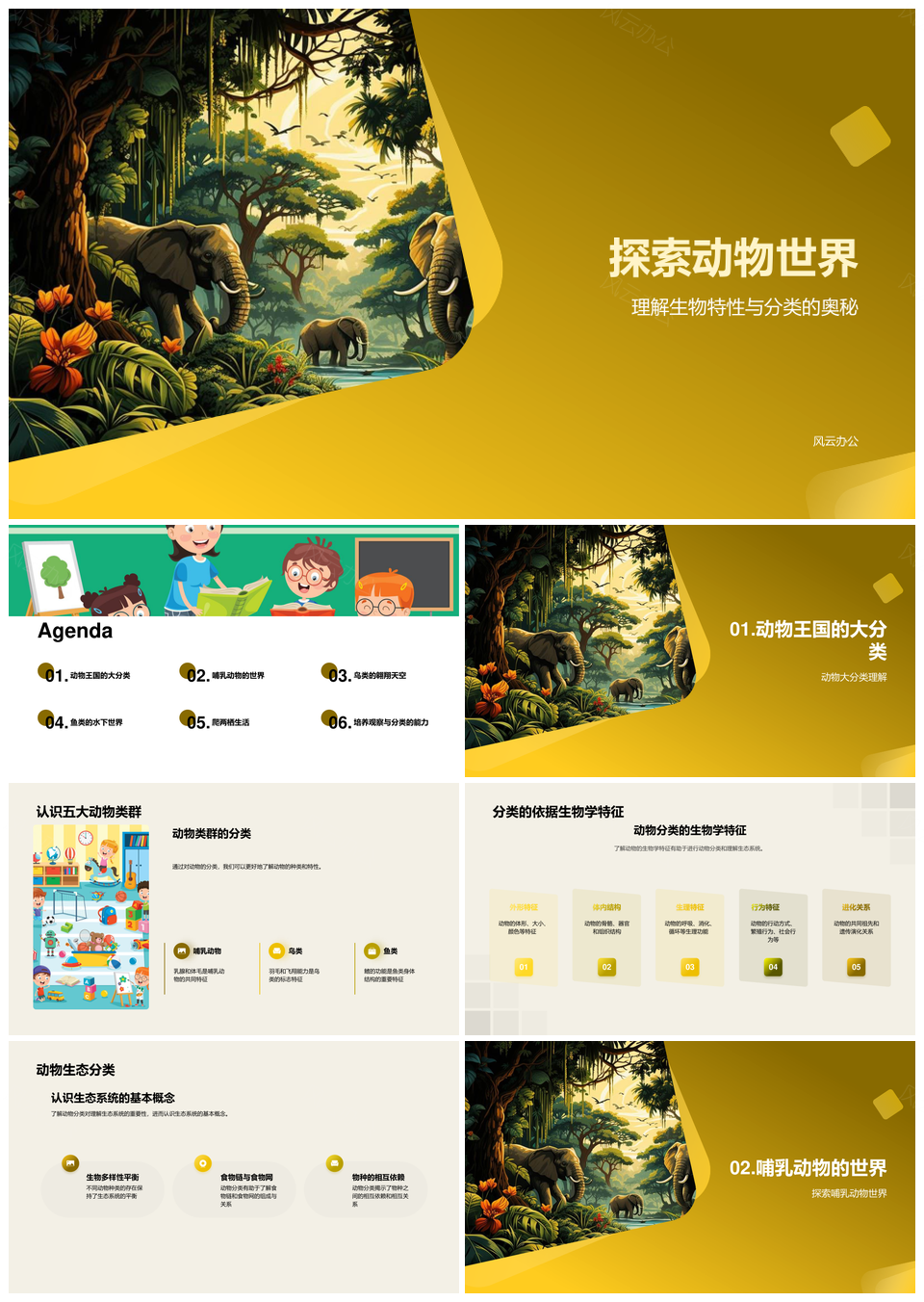 动物世界生物分类与丛林生态系统探秘PPT模板