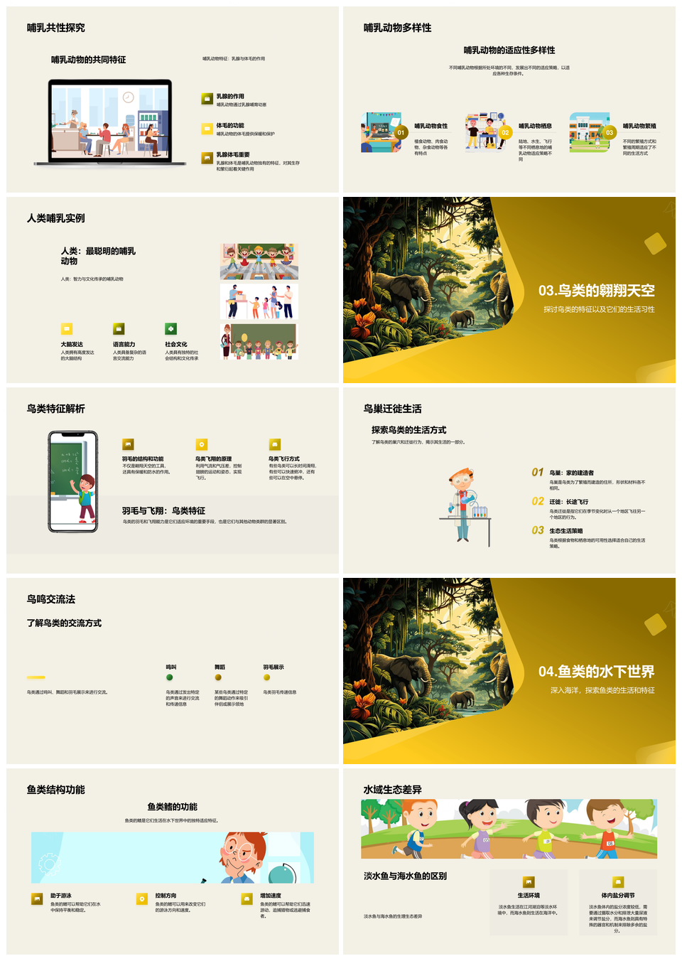 动物世界生物分类与丛林生态系统探秘PPT模板