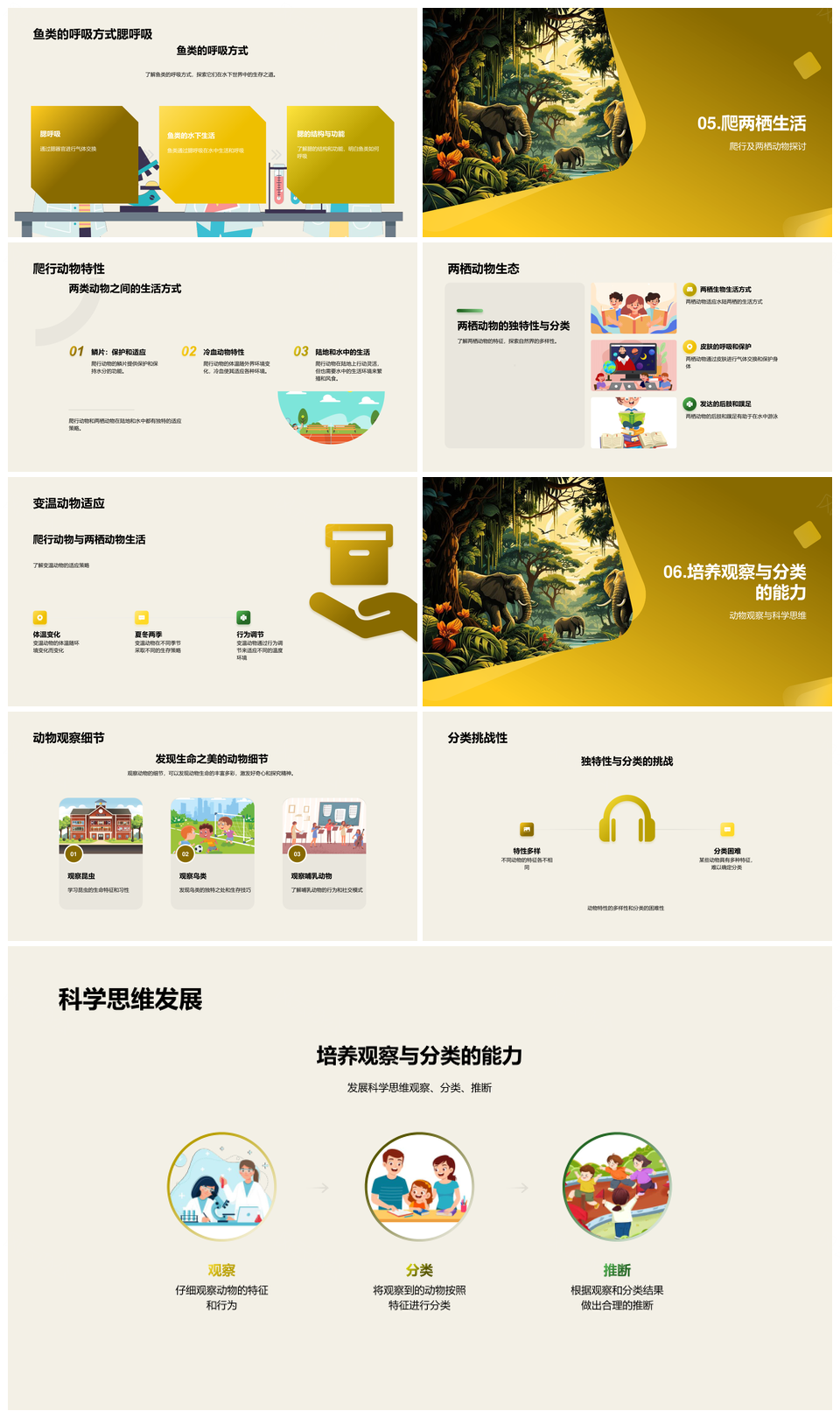 动物世界生物分类与丛林生态系统探秘PPT模板