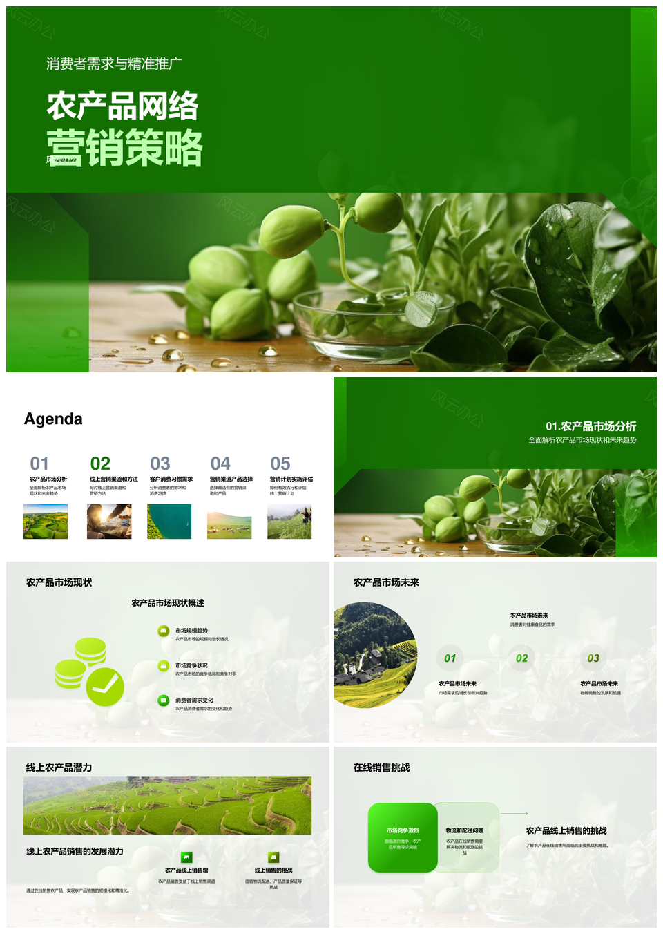 有机农产品网络精准营销策略分析PPT模板