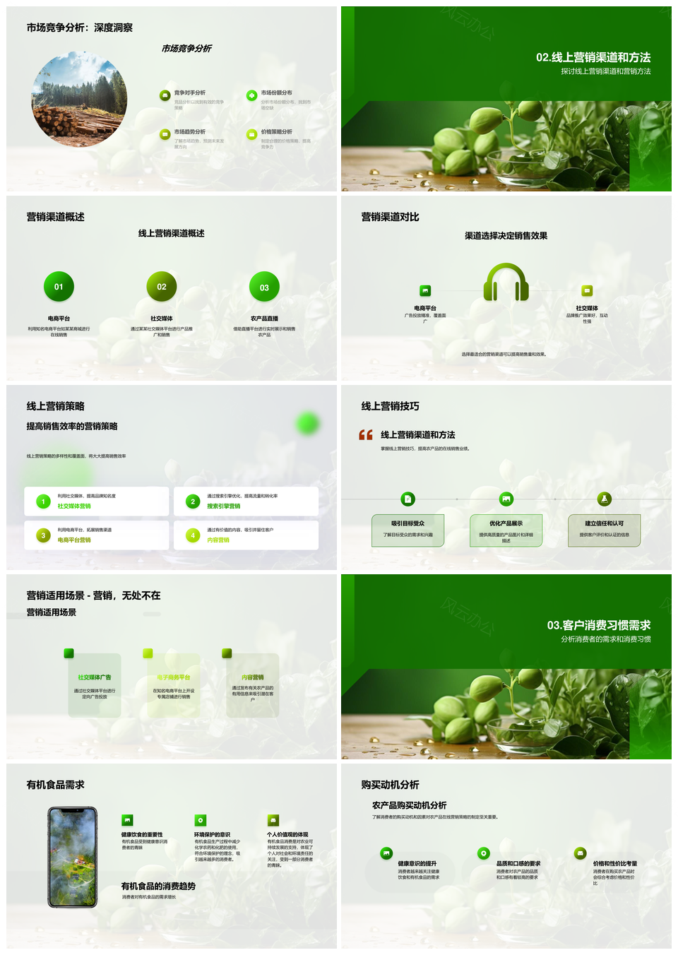 有机农产品网络精准营销策略分析PPT模板