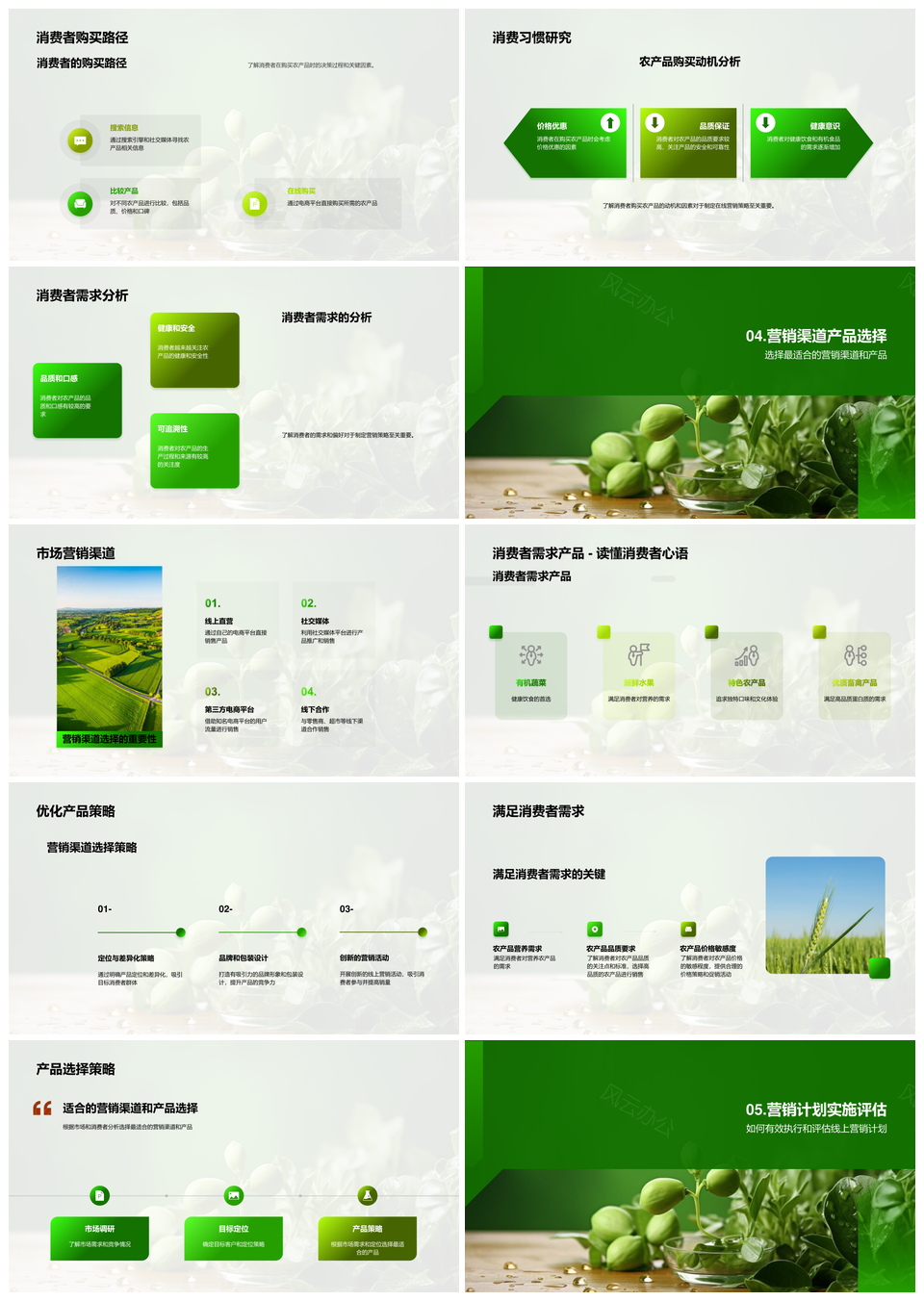 有机农产品网络精准营销策略分析PPT模板