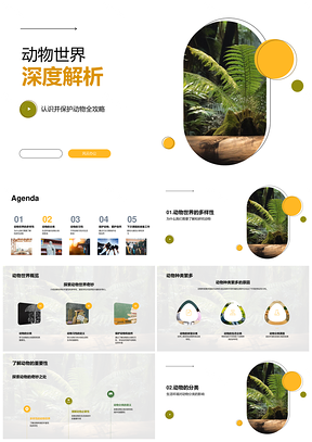 动物世界保护分类习性自然教育解析PPT模板