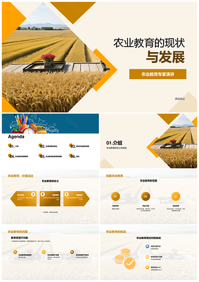 农业教育现状发展与高教决策教学PPT模板