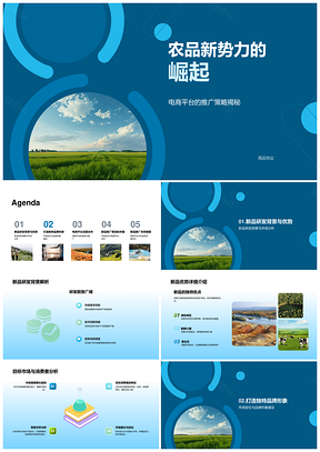 农品新势力电商推广策略与升阳新品优势PPT模板