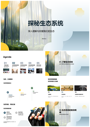 生态系统组成功能与森林服务解析PPT模板