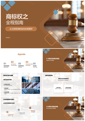 商标权法注册维权保护全流程PPT模板