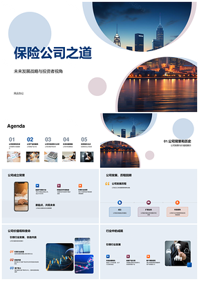 保险公司发展战略与投资者关注产品服务竞争优势风险管理PPT模板