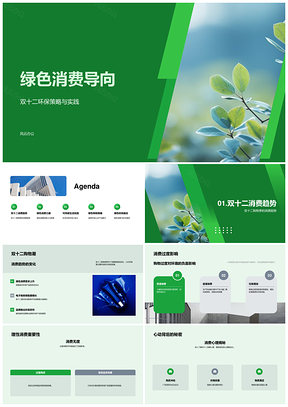 双十二绿色消费环保策略与理性购物解析PPT模板