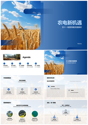 双十一助农产品电商品牌视觉服务营销新机遇PPT模板