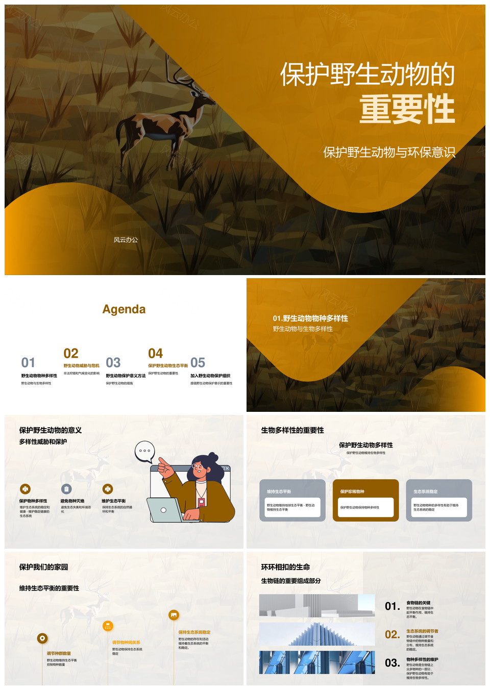 保护野生动物维护生态平衡生物多样性PPT模板