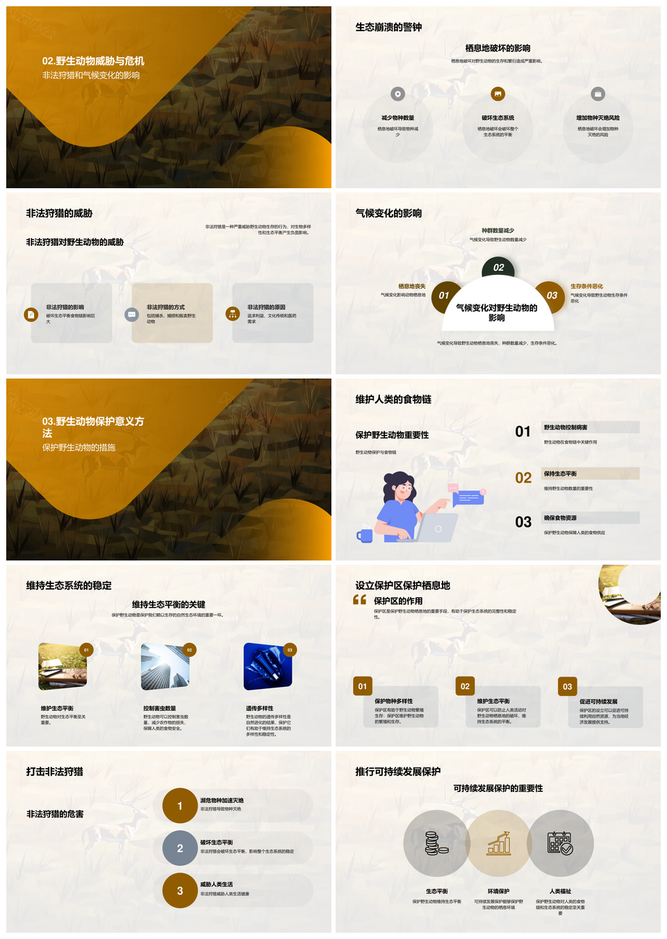 保护野生动物维护生态平衡生物多样性PPT模板