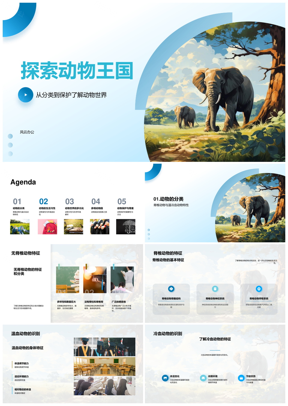 动物王国分类温血冷血习性食性丛林PPT模板