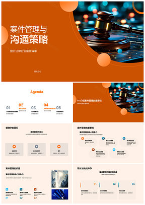 法律案件管理沟通调解策略技术工具PPT模板