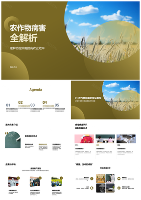 农作物菌毒虫害防控提升农业效率PPT模板