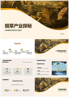 专家农场主解析烟草种植历史政策与全球市场前景PPT模板