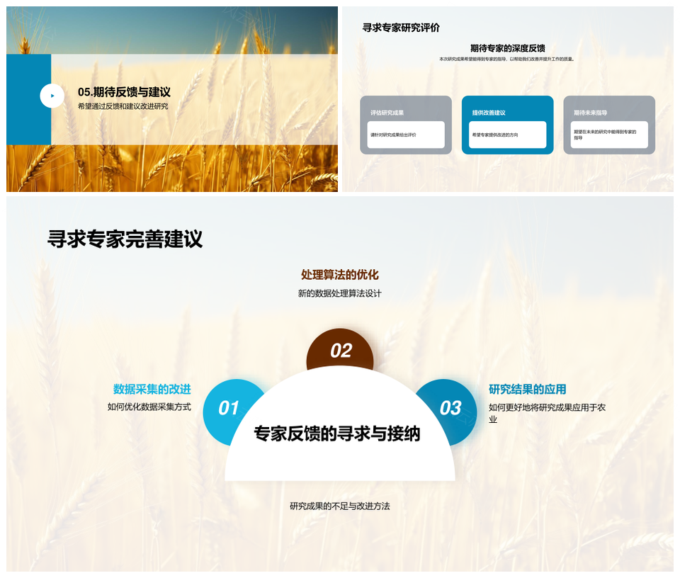 农业大数据新算法提升小麦田精准农业生产效率PPT模板