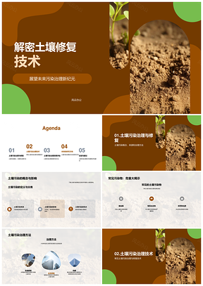 土壤污染治理修复技术方法生物化学热解监测PPT模板