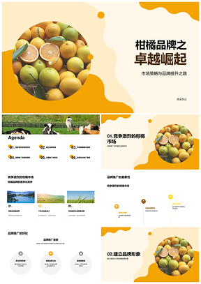 柑橘品牌市场经理推广策略提升果商知名度销售额PPT模板