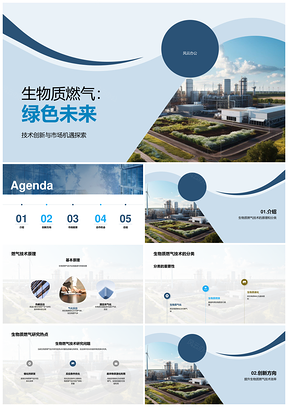 生物质燃气技术创新应用案例交流PPT模板