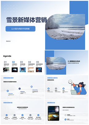 雪景新媒体营销策略消费行为数据分析PPT模板