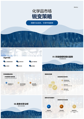 化学品公司中高端市场增长竞争推广策略PPT模板
