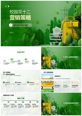 校园双十二学生消费行为社交媒体营销策略案例PPT模板