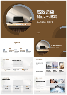 业务培训师高效适应新办公环境文档管理PPT模板